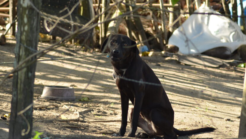 Uma imagem impressionante