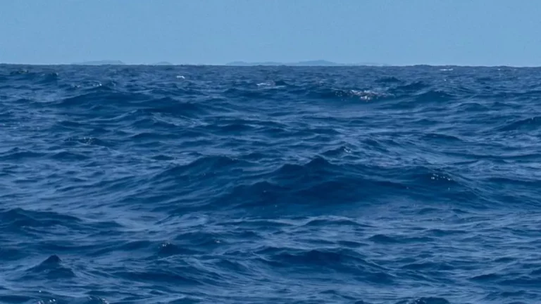 Uma imagem impressionante