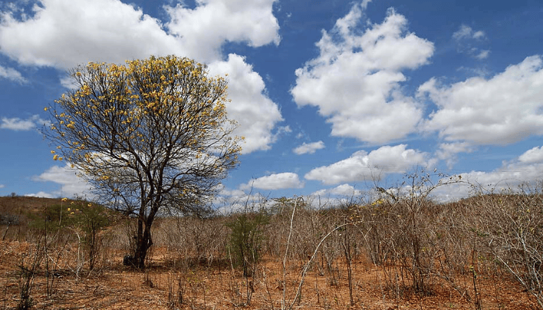Uma imagem impressionante