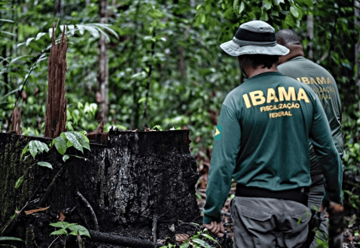 Uma imagem impressionante
