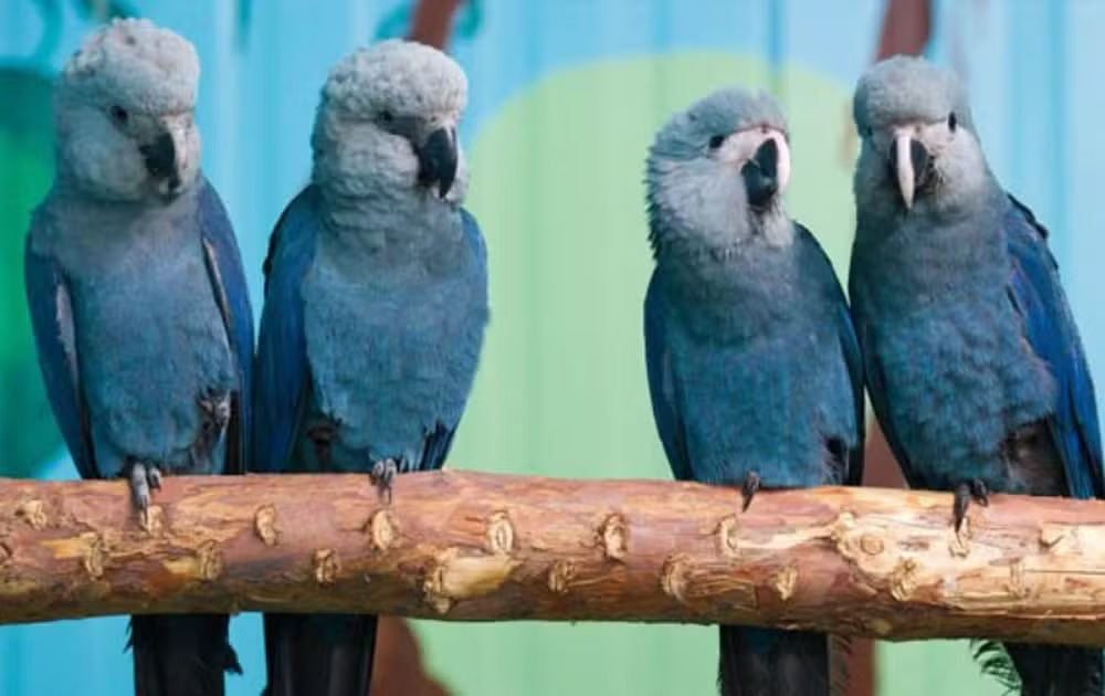 Uma imagem impressionante