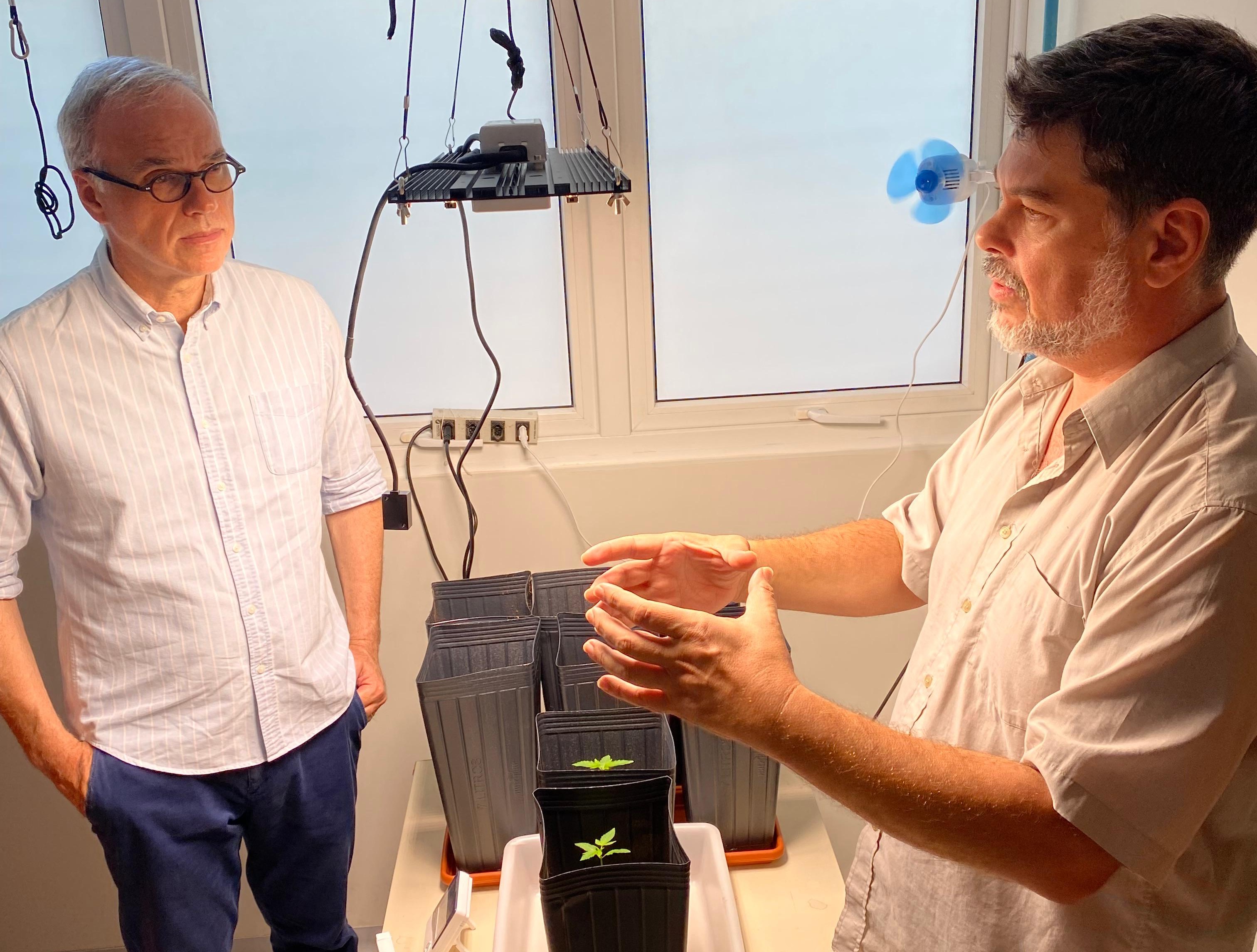 Uma imagem impressionante