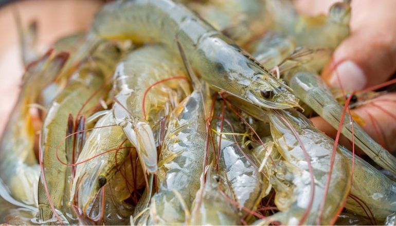 Uma imagem impressionante