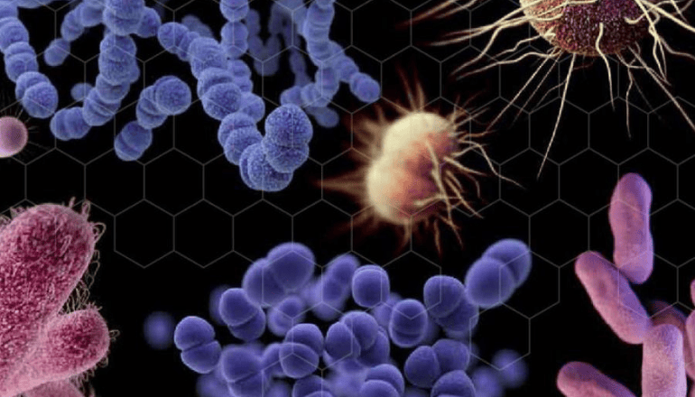 Uma imagem impressionante