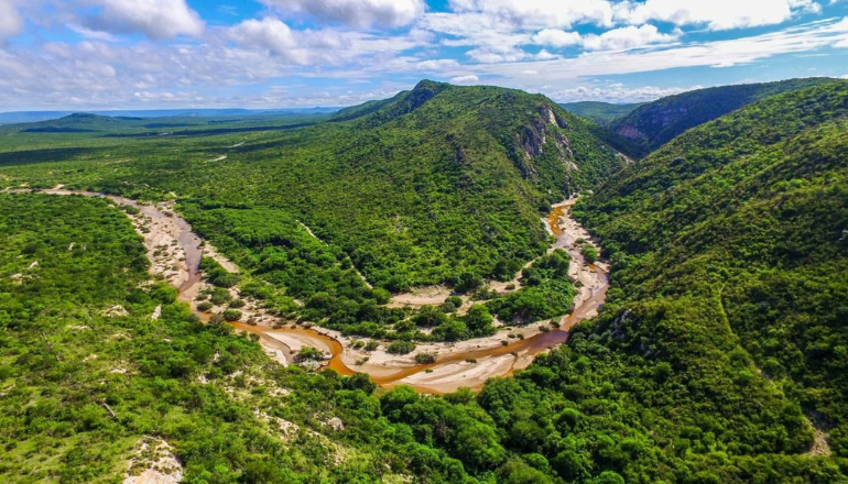 Uma imagem impressionante