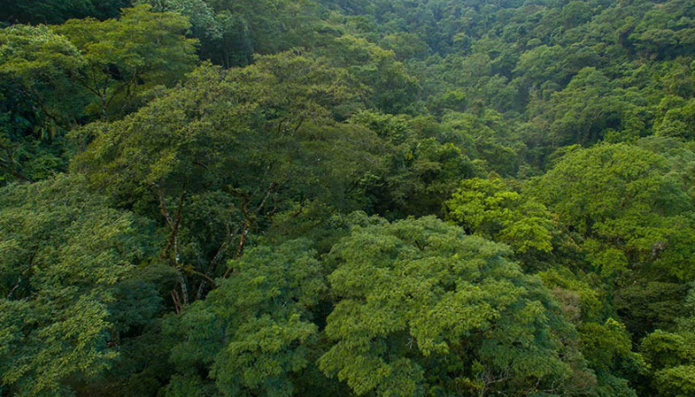 Uma imagem impressionante