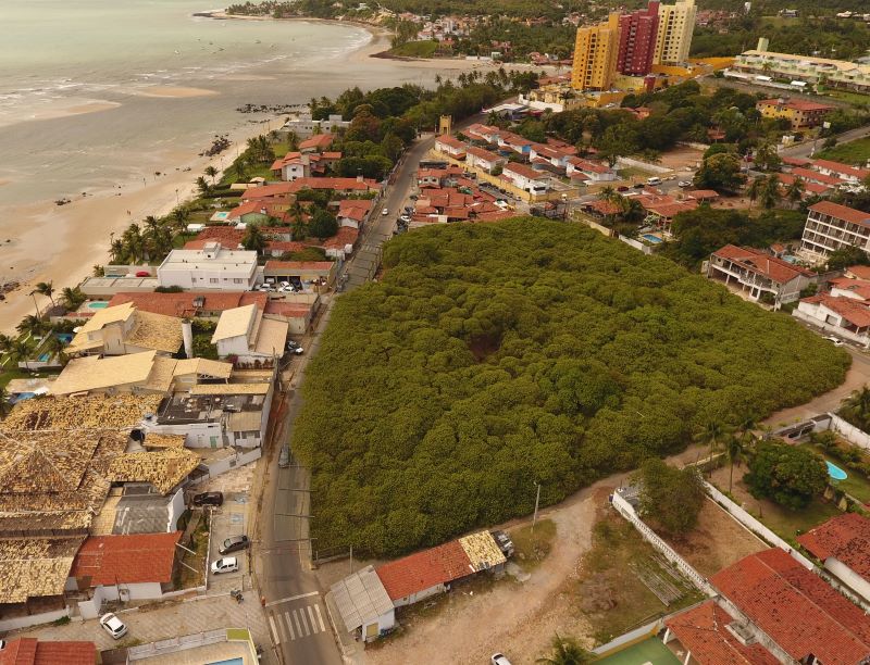 Uma imagem impressionante