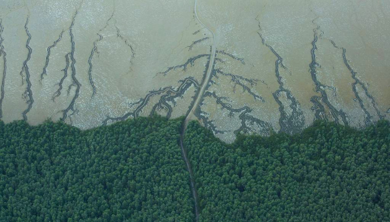 Uma imagem impressionante