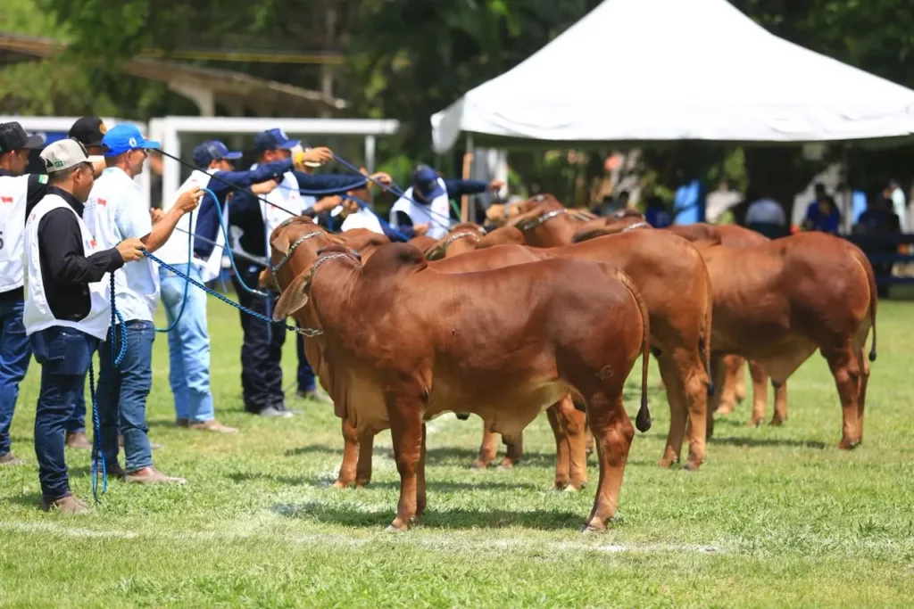 Uma imagem impressionante