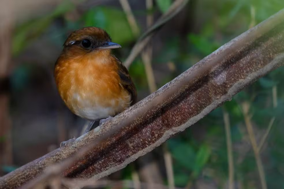 Uma imagem impressionante