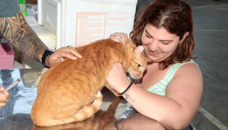 Uma imagem impressionante