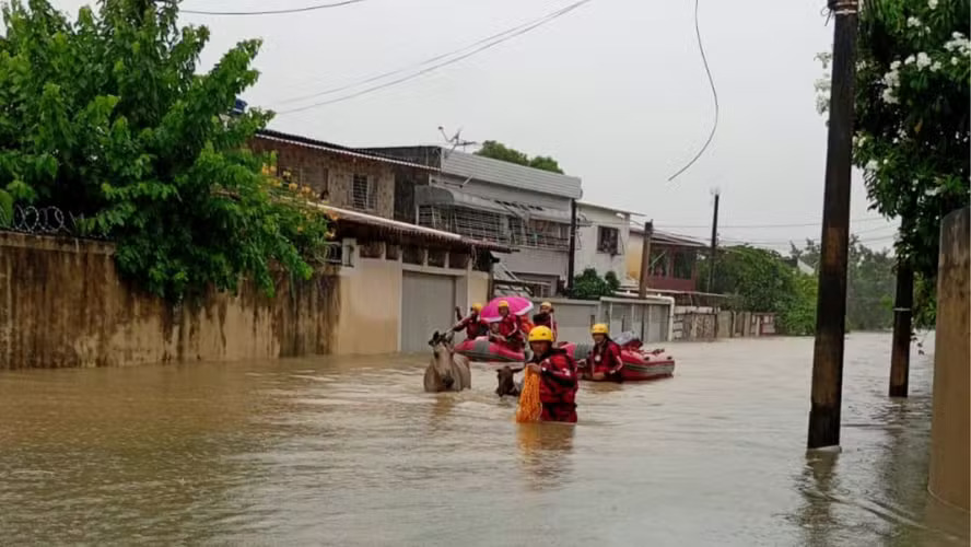 Uma imagem impressionante