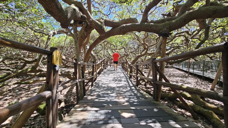 Uma imagem impressionante